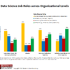 Figure 3. Data Science Roles across Organizational Levels