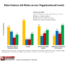 Figure 3. Data Science Roles across Organizational Levels