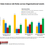 Figure 3. Data Science Roles across Organizational Levels