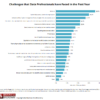 Figure 1. Challenges Faced by Data Professionals