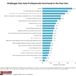 Figure 1. Challenges Faced by Data Professionals