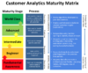 Figure 2. Customer Analytics Maturity Matrix