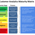 Figure 2. Customer Analytics Maturity Matrix